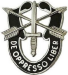U.S.Army_Special_Forces U.S.Army_Special_Forces